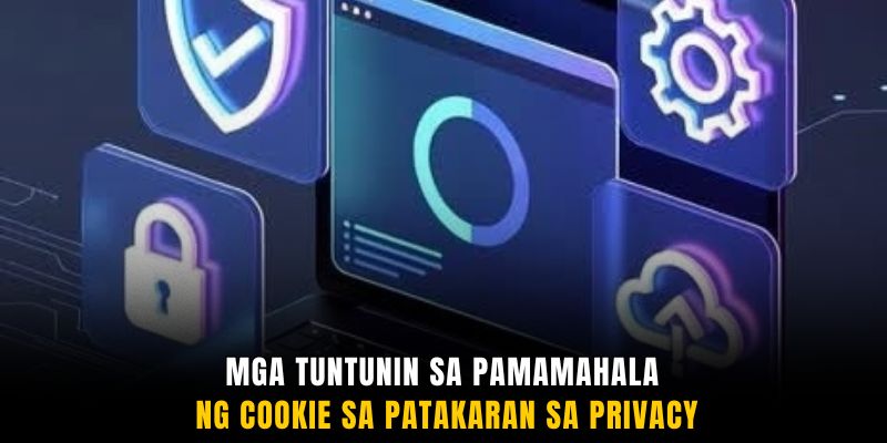 Mga tuntunin sa pamamahala ng cookie sa patakaran sa privacy